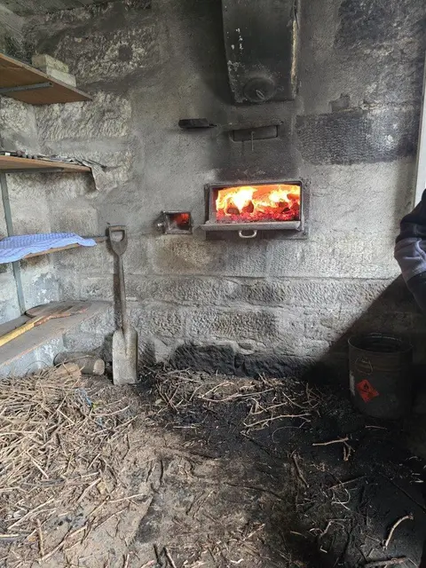 Foto: Michael Schenk