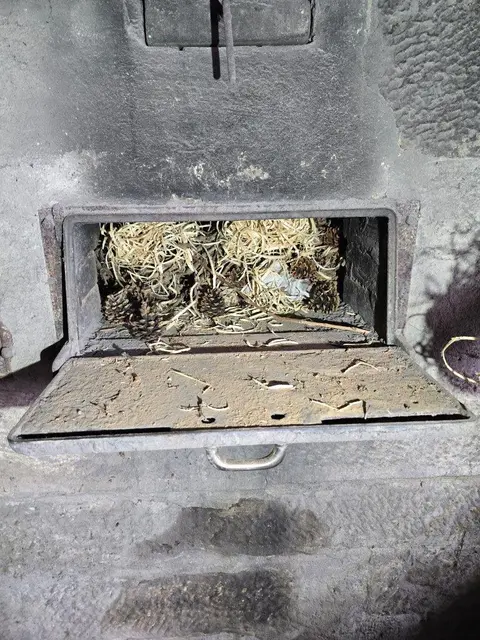 Foto: Michael Schenk