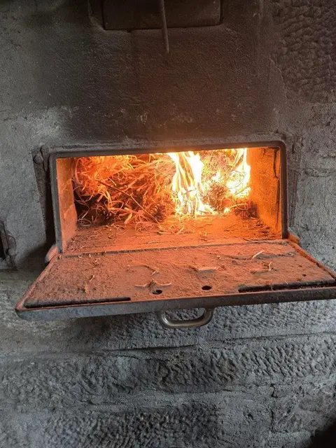 Foto: Michael Schenk