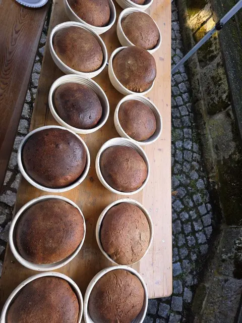 Foto: Michael Schenk