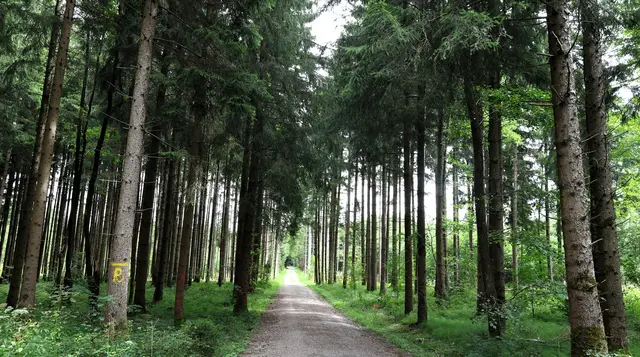 Foto: Privat