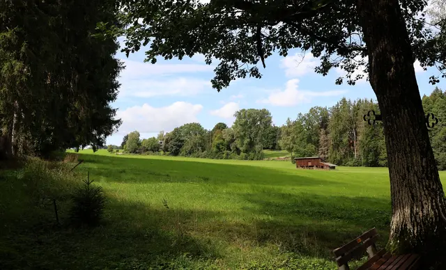 Foto: Privat