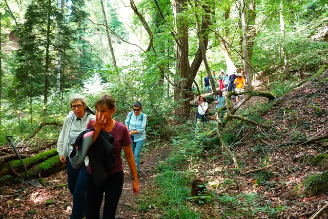 Über den alten Fleiner Steinbruch geht es abwärts ins Deinenbachtal. | Foto: Isolde Reitz