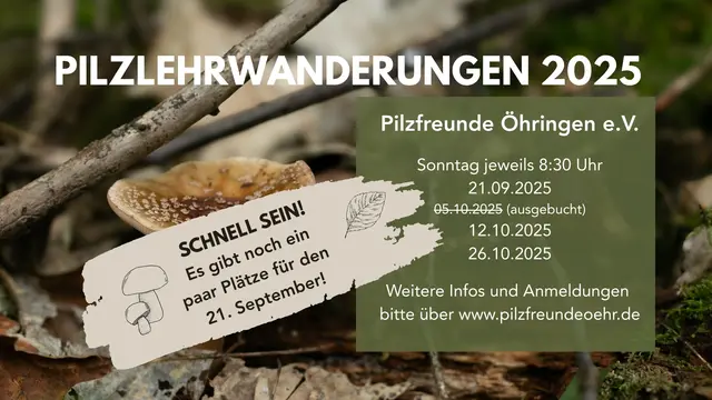 Termine für die Pilzlehrwanderungen 2025 | Foto: Pilzfreunde Öhringen e.V.
