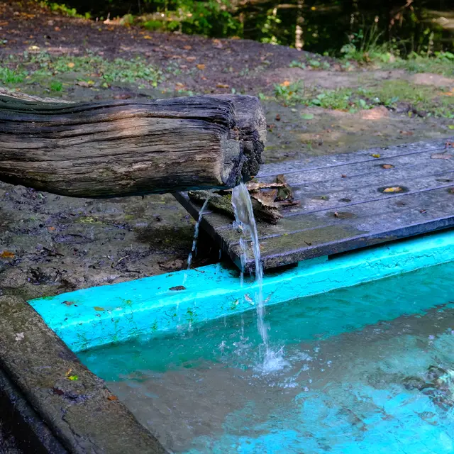 Foto: Eduard Warenik