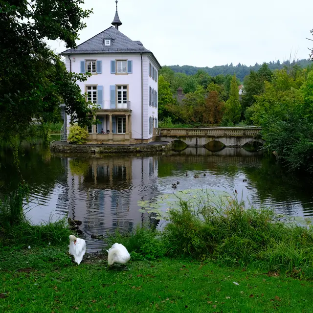 Foto: Eduard Warenik