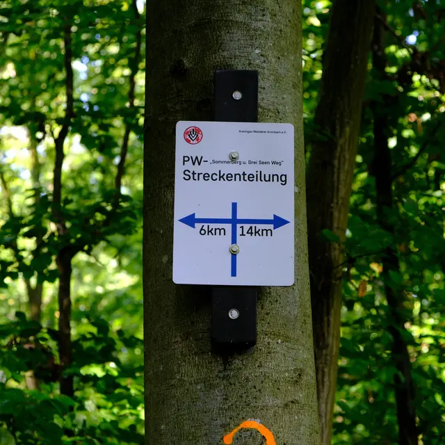 Foto: Eduard Warenik