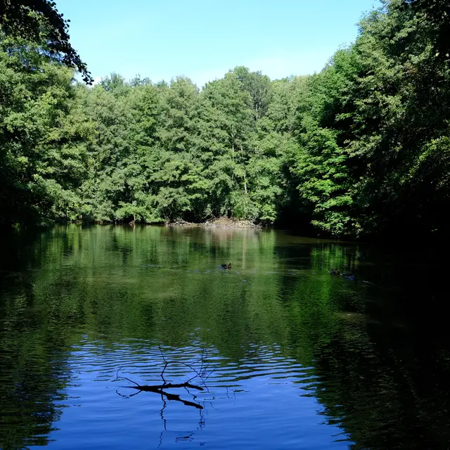 Foto: Eduard Warenik