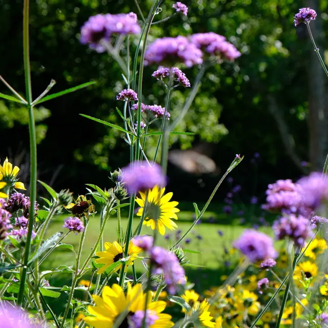 Foto: Eduard Warenik