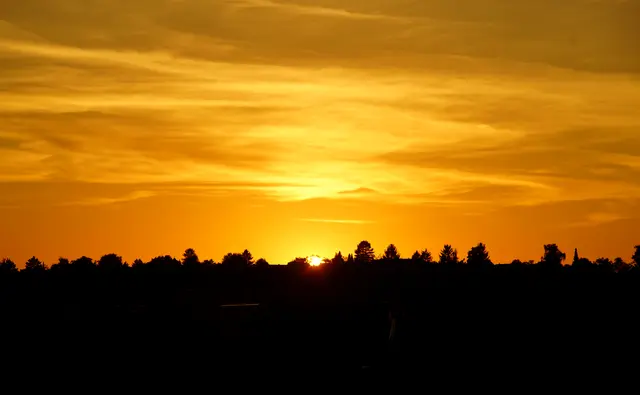 Foto: André Gellrich