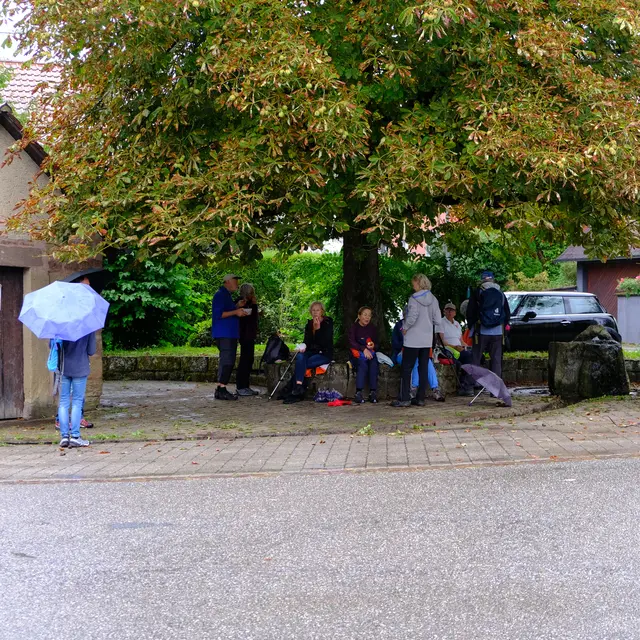 Foto: Eduard Warenik