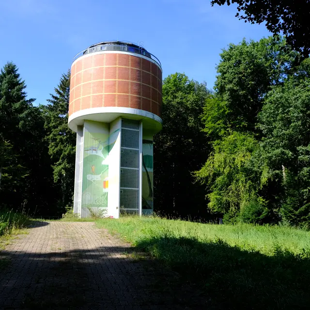 Foto: Eduard Warenik