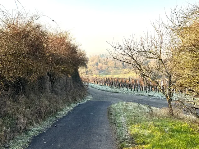 Foto: Heide Böllinger aus Bad Friedrichshall