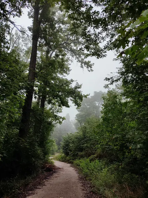 mystisch, neblig, wunderschön | Foto: Aurelia Kling
