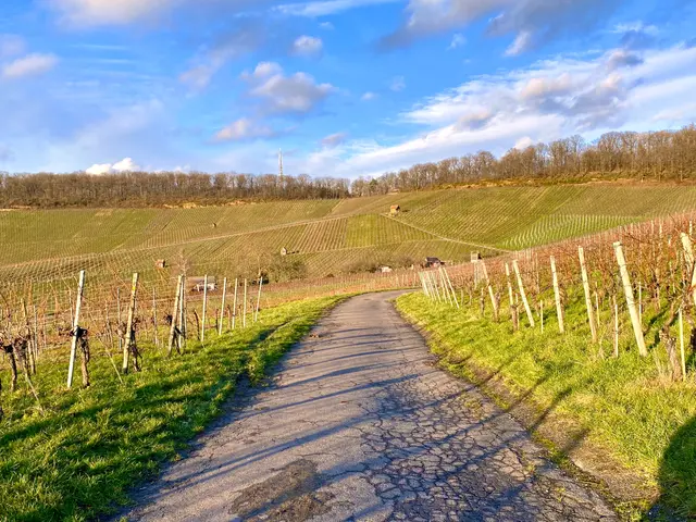 Foto: Heide Böllinger aus Bad Friedrichshall