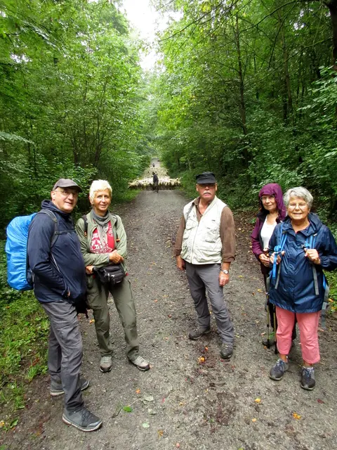 Gruppenfoto nachdem wir die Schafe überholt hatten | Foto: Wandern Gaby Erich