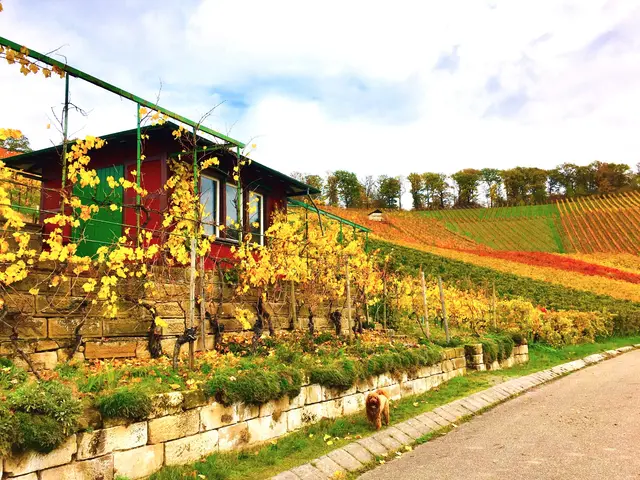 Foto: Heide Böllinger aus Bad Friedrichshall