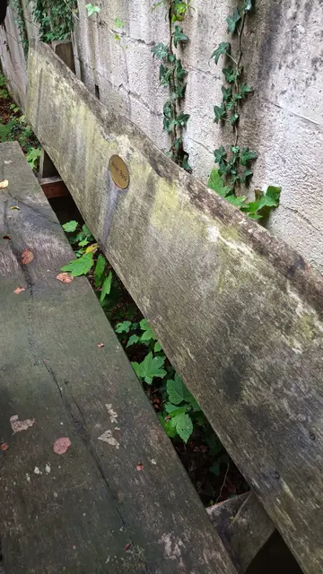 Wolles Bank steht noch immer da, aber die Aussicht gibt es nicht mehr, die hat sich der Wald erobert. | Foto: Wandern Gaby Erich