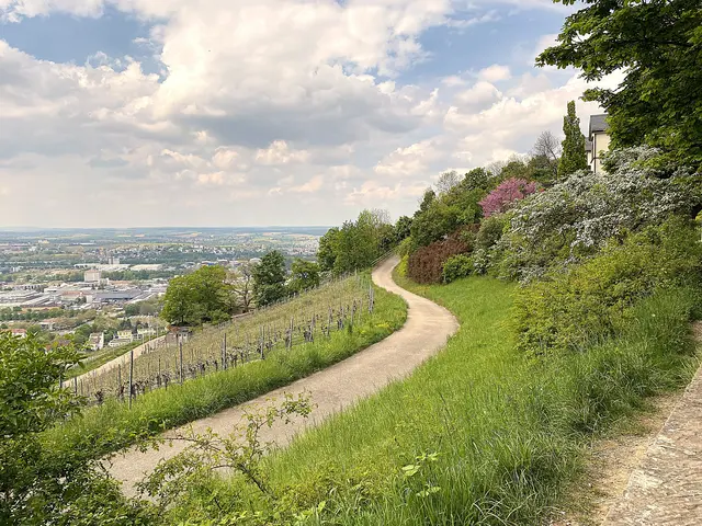 Foto: Heide Böllinger aus Bad Friedrichshall