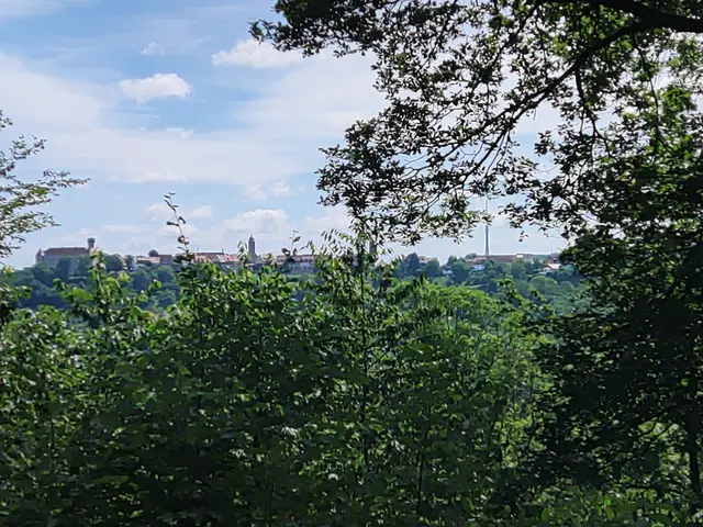 Waldenburg | Foto: NLFH