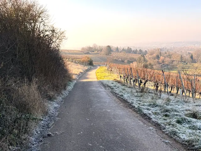 Foto: Heide Böllinger aus Bad Friedrichshall