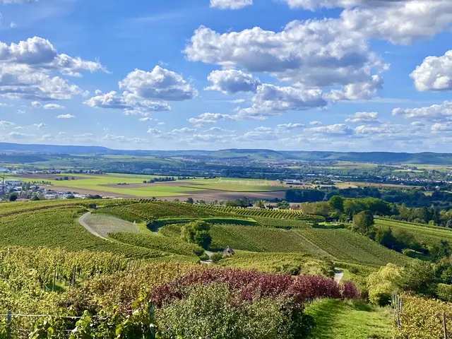Foto: Heide Böllinger aus Bad Friedrichshall