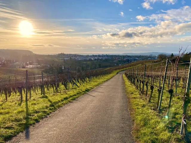 Foto: Heide Böllinger aus Bad Friedrichshall
