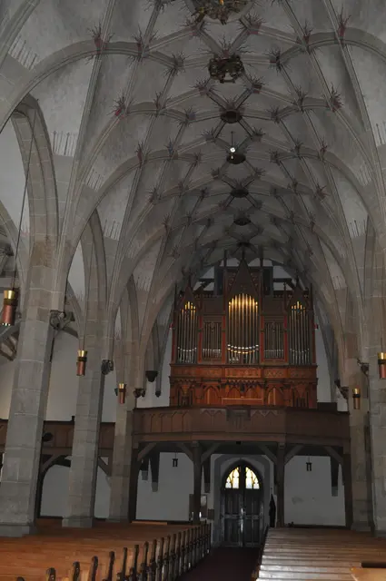 Blick auf das Kreuzgewölbe und die Orgel. | Foto: Daniela Somers