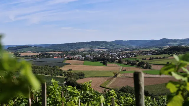 Blick auf Schwabbach | Foto: MB