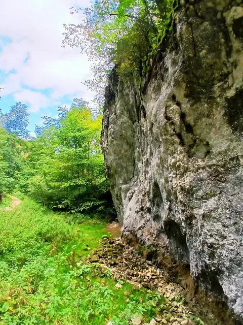 Typische Jurafelsen säumen den Wanderweg.   | Foto: sigischlottke