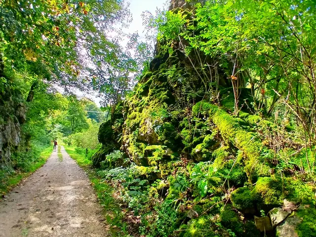 Gestärkt geht's weiter durch die ruhige und beschauliche Landschaft.   | Foto: sigischlottke 