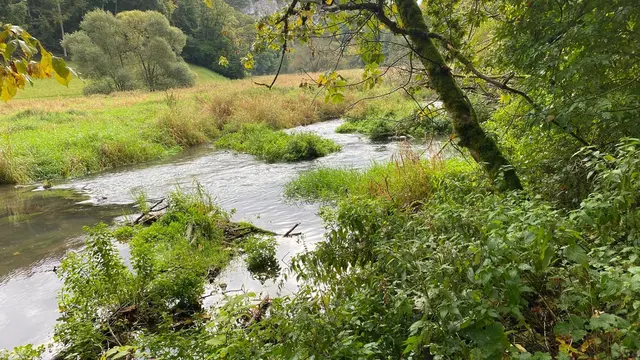 Entlang der Lauter ging's für 13 Wanderer erstmal auf gleichem Weg zurück.  | Foto: Beate Bonte 