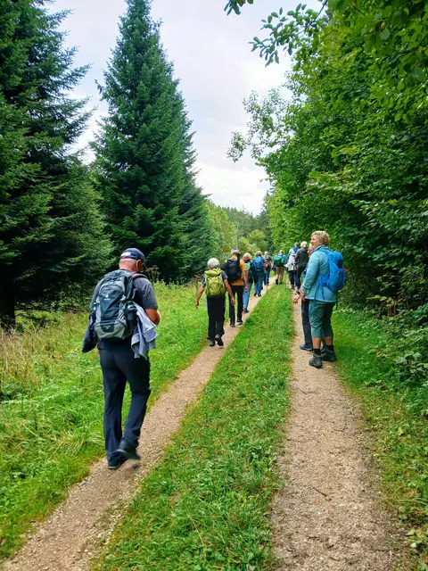 Die Wanderer haben Pilze gesichtet.   | Foto: sigischlottke