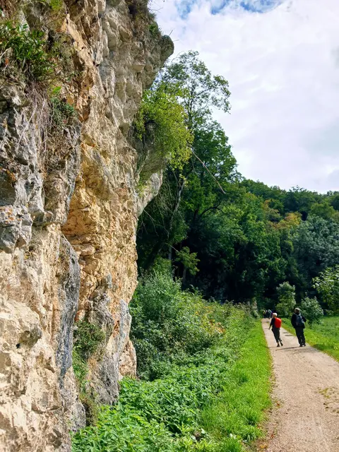 Die Jurafelsen sind teilweise ganz schön hoch.   | Foto: sigischlottke 