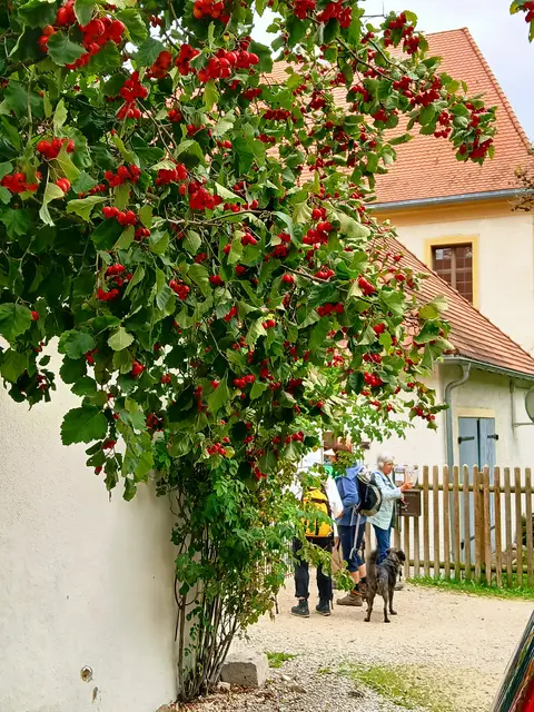 Eine idyllische Ecke.   | Foto: sigischlottke