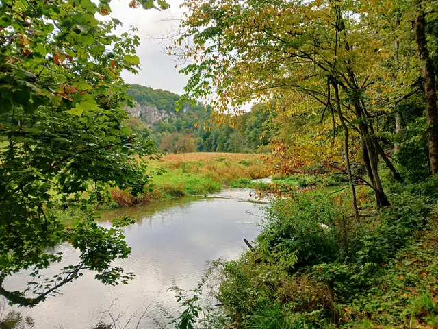 Die Lauter fließt ruhig und beschaulich dahin.   | Foto: sigischlottke 