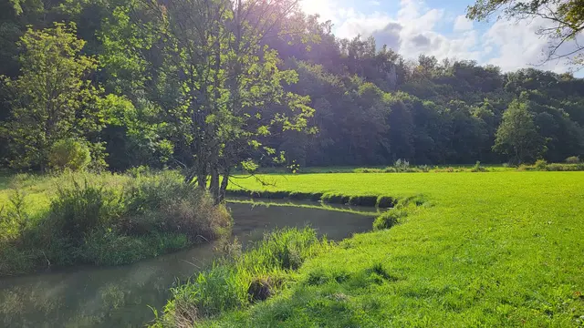 Herrlich,  wie die Lauter in die Wiesenlandschaft eingebettet ist.   | Foto: Petra Schüssler 