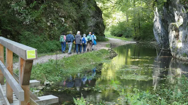 Kleine Brücken werden gequert......und dann endet diese abwechslungsreiche kleine Tour wieder am Parkplatz.   | Foto: Rainer Göser 