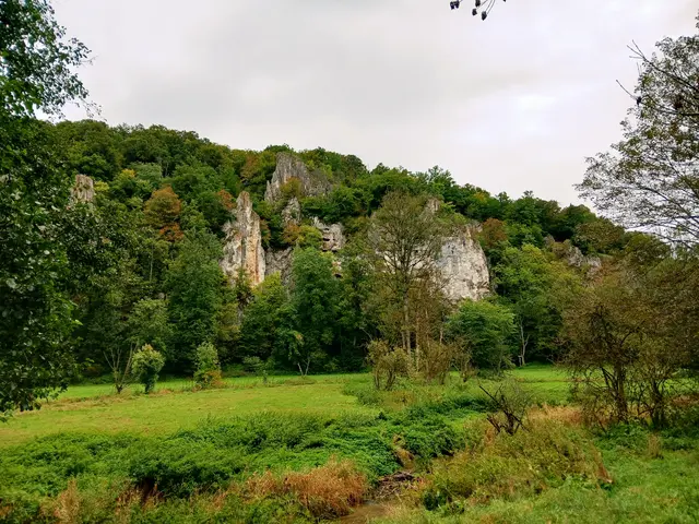 Es sind schon die typischen Jurafelsen der Alb zu sehen.   | Foto: sigischlottke 