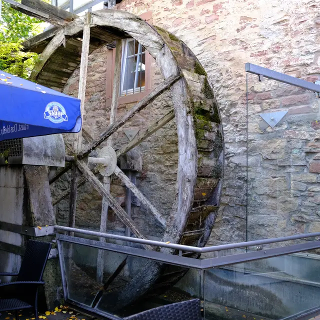 Foto: Eduard Warenik