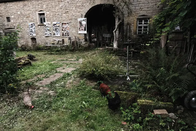 Foto: Petra Wagner