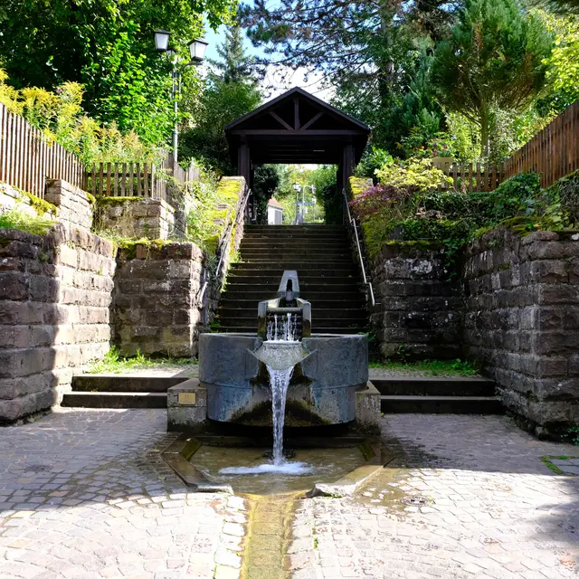 Foto: Eduard Warenik