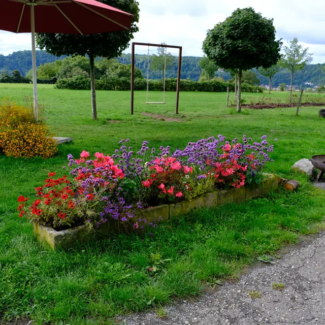 Foto: Eduard Warenik