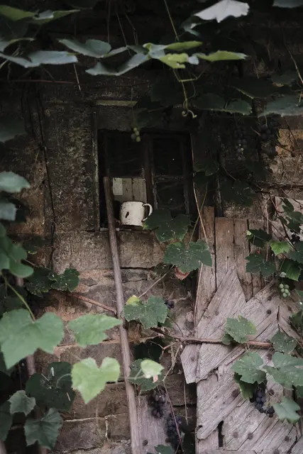 Foto: Petra Wagner