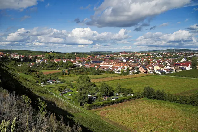 ein Teil von Lauffen am Nachmittag | Foto: Ulrich Seidel