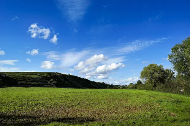 Blick vom kleinen See in Richtung Lauffen | Foto: Ulrich Seidel