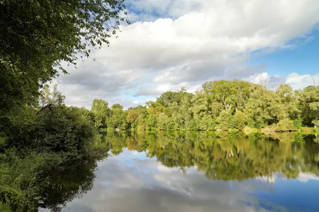 Blick Richtung Steg am mittleren See | Foto: Ulrich Seidel