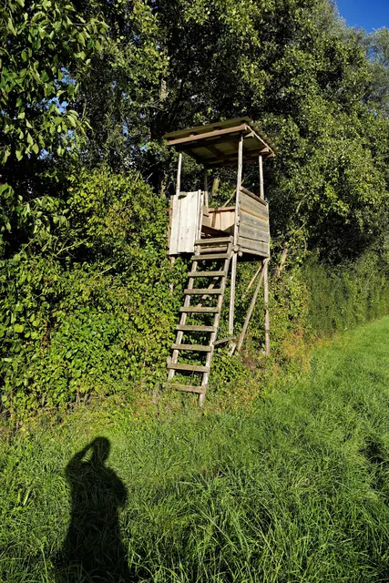 am Rande gibt es noch Hochstände | Foto: Ulrich Seidel