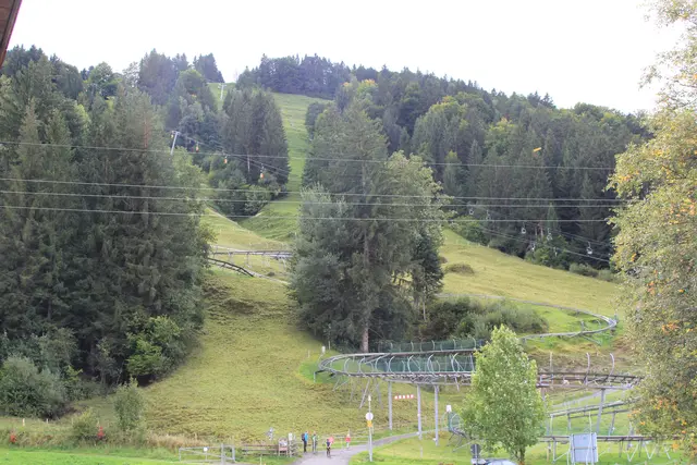 Alpsee/ Bergwelt/Allgäu | Foto: Ralf Röser
