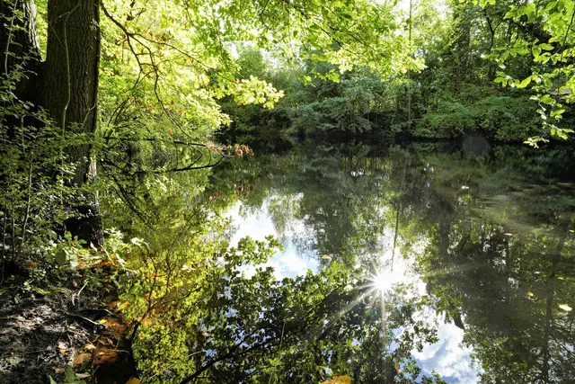 Die Sonne spiegelt sich im kleinen See | Foto: Ulrich Seidel